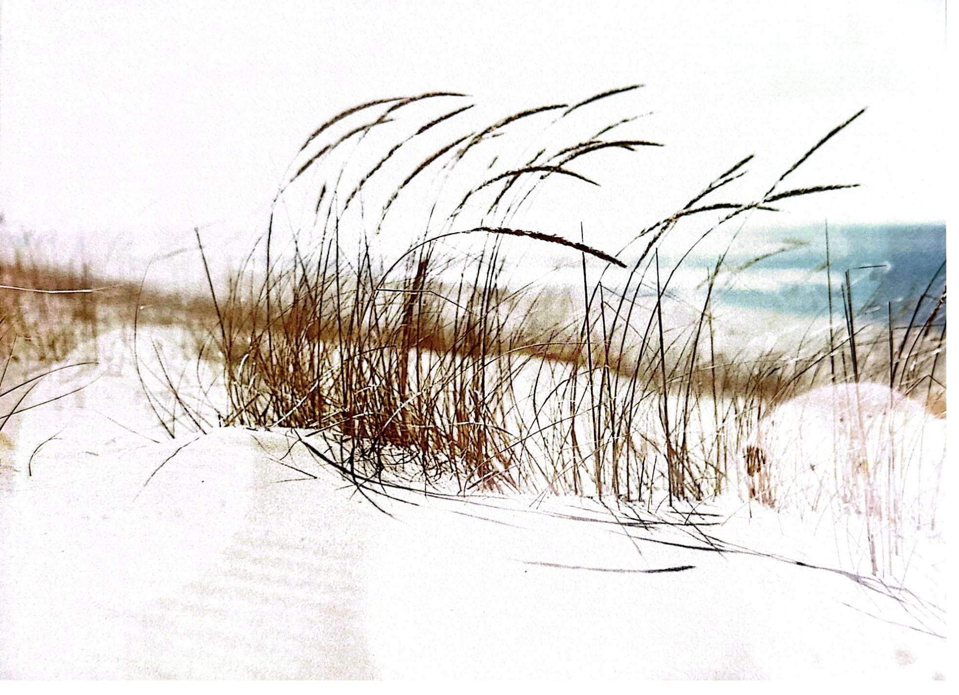 Jaap Pronk overleden